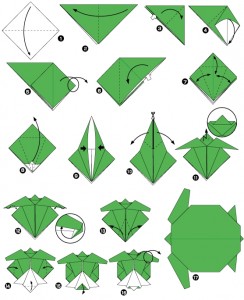 Origami tortue