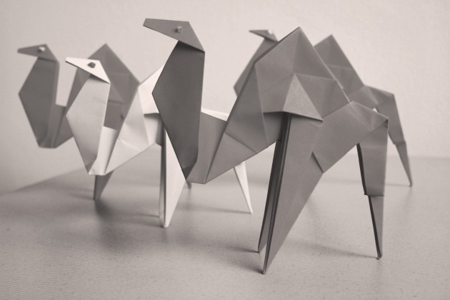 Fond d’écran chameaux origami