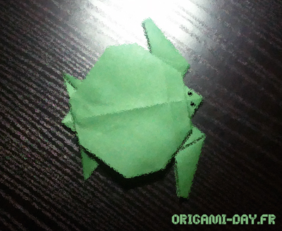 Origami Tortue de mer